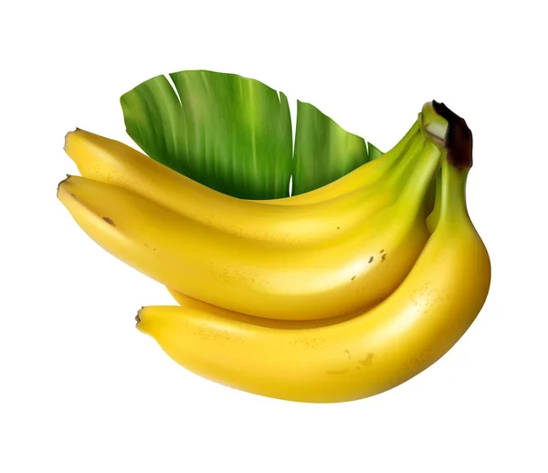 Realistic Banana Juice Splash Composition Isolated Tropical Fruit Image Blank — Vetor de Stock