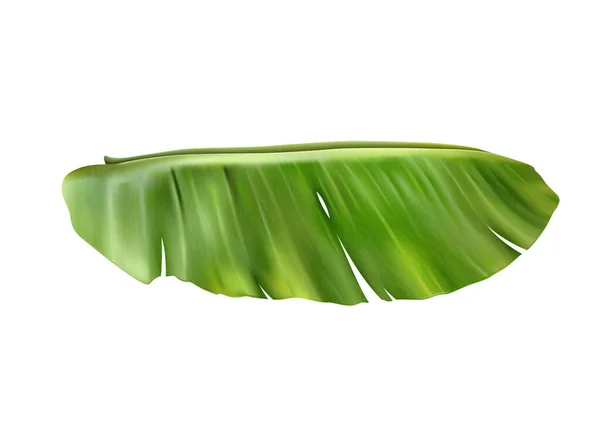 Realistic Banana Juice Splash Composition Isolated Tropical Fruit Image Blank — Vector de stock