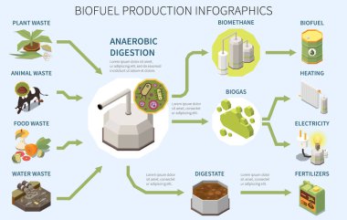 Biofuel production infographics poster with types of organic waste anaerobic digestion biogas usage 3d isometric vector illustration clipart
