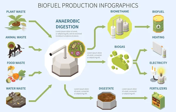 Biofuel Production Infographics Poster Types Organic Waste Anaerobic Digestion Biogas — Stock Vector