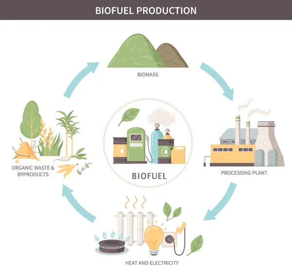 Biofuel Production Flat Infographics Scheme Organic Waste Byproducts Heat Electricity — Vector de stock