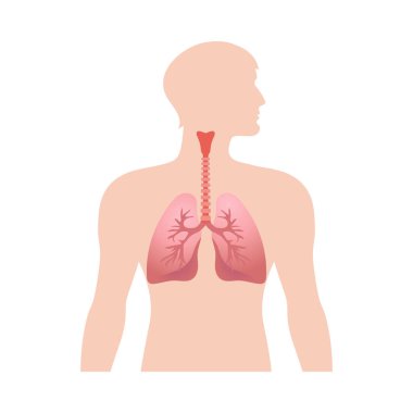 Asthma composition with isolated medical infographic image of chronic disease on blank background vector illustration