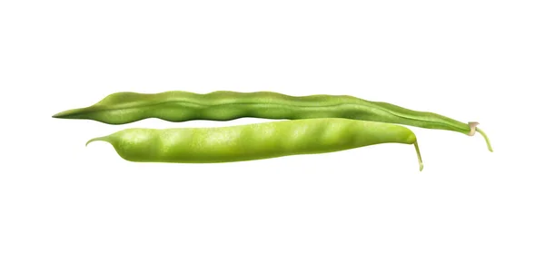 Fresh Farmer Market Green Beans Realistic Composition Pea Pods Ready — 图库矢量图片