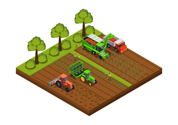 Tomatoes Production Isometric Composition Isolated View Field Trucks Harvesters Gathering — 图库矢量图片