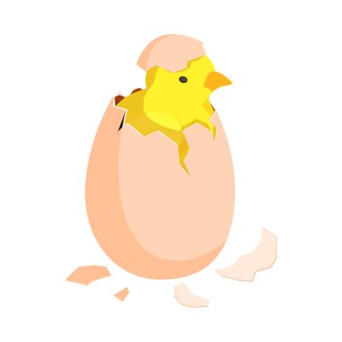 Chicken farm poultry production isometric composition with isolated image of farm animal vector illustration