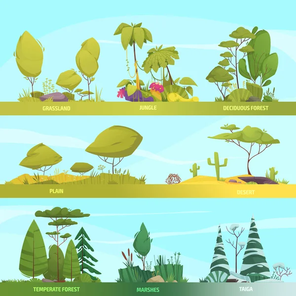 Tipos Ecosistemas Caricatura Pancarta Con Bosque Templado Composiciones Del Desierto — Archivo Imágenes Vectoriales