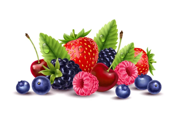 Realistic Berries Composition Isolated View Sweet Berries Leaves Shadows Blank — Vector de stock