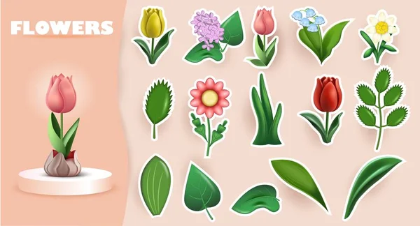 Leaf Flower Compositions Set Cumbersome Icons Whole Flowers Isolated Stalks — 图库矢量图片
