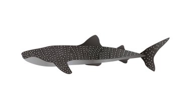 Filipinler, ulusal stereotipler ve doğu devlet vektör illüstrasyonunun sembolleriyle turizm kompozisyonu ile seyahat eder