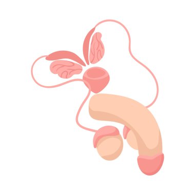 İnsan organları anatomi izometrik bileşimi ve iç vücut bölümü çizimi izole edilmiş.