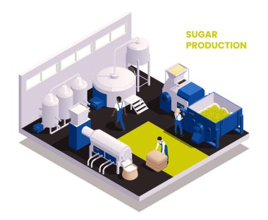 Sugar production isometric composition illustrated the sequence of function of technological process vector illustration