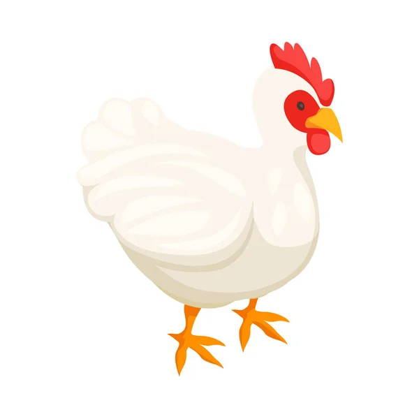 Chicken Farm Poultry Production Isometric Composition Isolated Image Farm Animal — 图库矢量图片