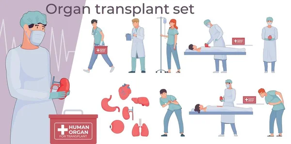 带有肢体图标的器官移植平面组合及运送器官载体的医生特征 — 图库矢量图片