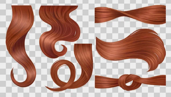 Brown Hair Curls Icons Set Transparent Background Isolated Vector Illustration — Stock Vector