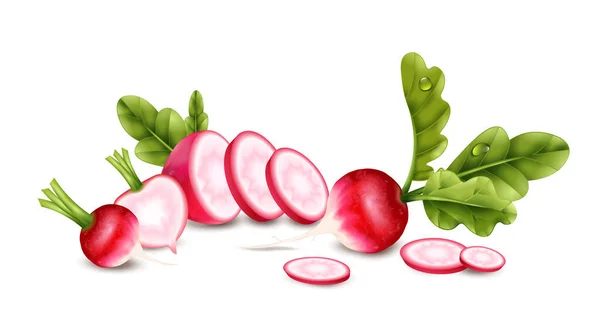 Radish Realistic Concept Healthy Food Symbols Vector Illustration — Stock Vector