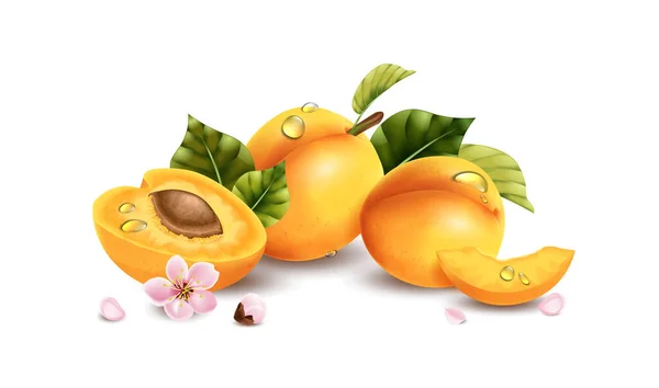 Composition Abricot Réaliste Avec Fond Blanc Pile Fruits Avec Des — Image vectorielle