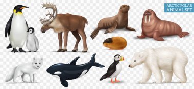 Kutup hayvanları ve kuşlar, kutup ayısı penguenleri, deniz ayısı sıçanı lemming ile gerçekçi bir sette saydam arka plan illüstrasyonunda izole edilmiş.