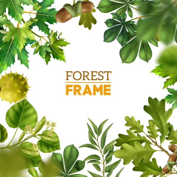 Cadre Forestier Réaliste Avec Branches Caduques Sur Fond Blanc Illustration — Image vectorielle