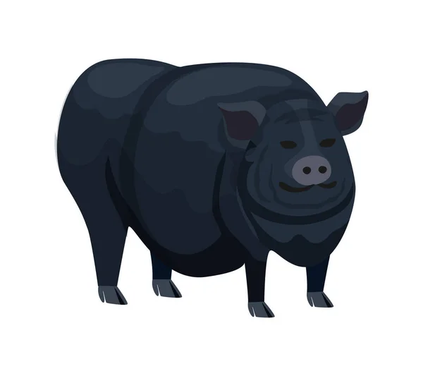 白い背景に大きな脂肪黒豚の品種フラットベクトルイラスト — ストックベクタ