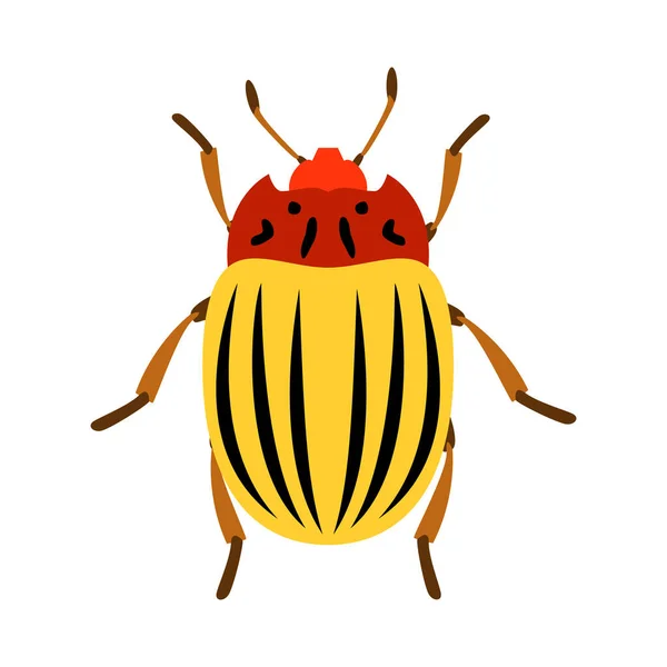 Color Colorado Potato Beetle Flat Vector Illustration — Stock Vector