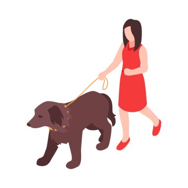 Köpek 3D vektör illüstrasyonuyla yürüyen kadın karakterli hayvan bakımı izometrik simgesi