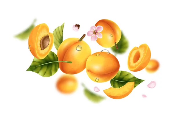 Realistische Fliegende Aprikosenkomposition Mit Ganzen Und Geschnittenen Früchten Die Der — Stockvektor