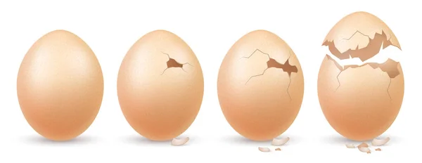 Çiftlik Yumurtaları Gerçekçi Konsept Ürün Bütün Kırık Kabuk Izole Vektör — Stok Vektör