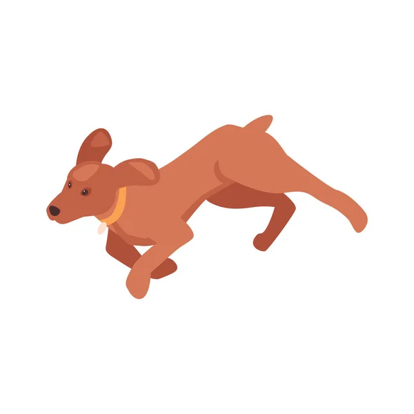 带有领子3D矢量图解的等距跑褐色狗 — 图库矢量图片