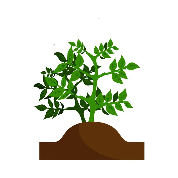 土壌ベクトル図の緑の植物とジャガイモの栽培フラットアイコン — ストックベクタ
