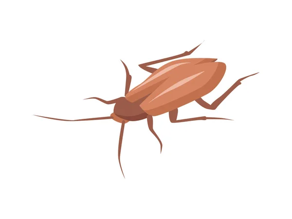 Brown Cockroach Isometric Icon Vector Illustration — Stock Vector
