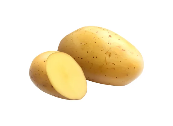 Beyaz Arka Planda Soyulmamış Çiğ Patatesin Tamamı Kesimi Gerçekçi Vektör — Stok Vektör