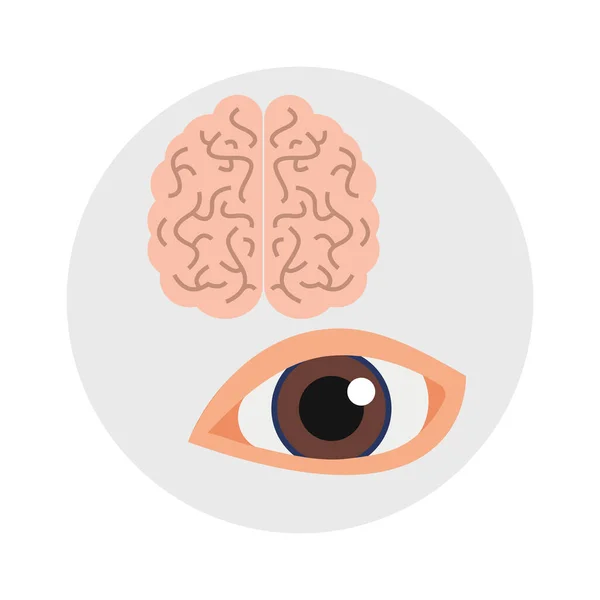Menschliche Organe Medizinische Flache Stil Ikone Mit Augen Und Gehirn — Stockvektor