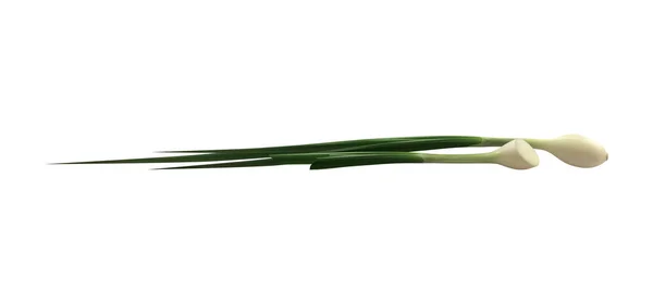 Realistic Whole Cut Green Onion Scallions Vector Illustration — Stock Vector