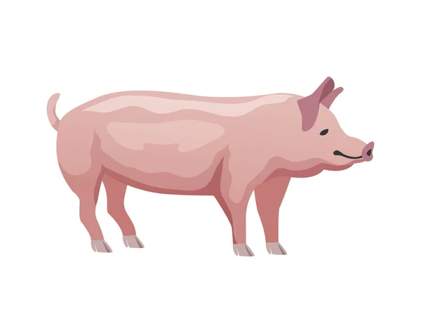 白い背景の上のフラットピンクの豚ベクトルイラスト — ストックベクタ