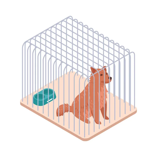 動物の避難所でケージにホームレスの犬アイソメトリックアイコンベクトルイラスト — ストックベクタ