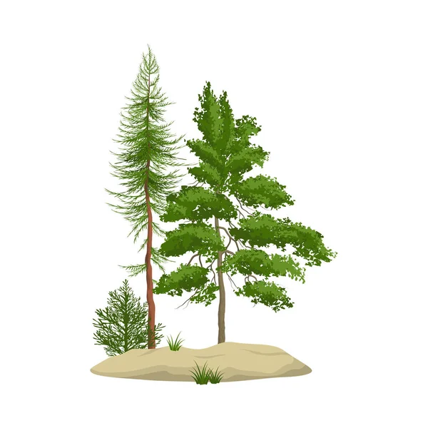 緑の針葉樹と葉の木のベクトル図と現実的な松林要素 — ストックベクタ