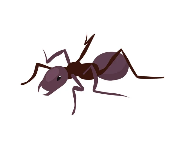Izometrické Černé Mravenčí Ikony Vektorové Ilustrace — Stockový vektor