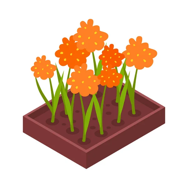 Ισομετρική Παρτέρι Ανθισμένα Πορτοκαλί Λουλούδια Εικονίδιο Διάνυσμα Εικονογράφηση — Διανυσματικό Αρχείο
