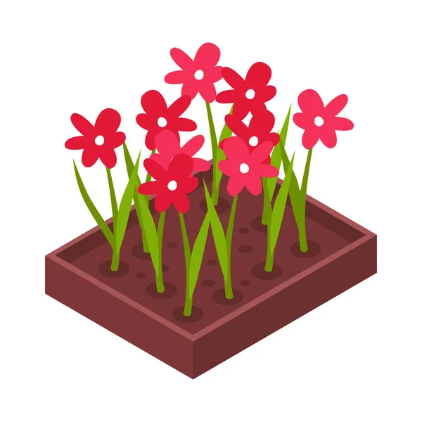 Ισομετρική Εικόνα Ανθισμένα Κόκκινα Λουλούδια Διανυσματική Απεικόνιση — Διανυσματικό Αρχείο