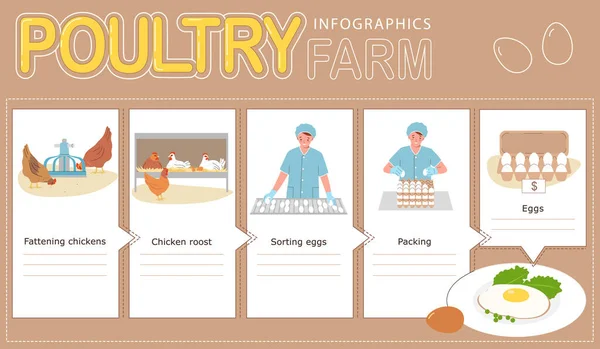 Παραγωγή Αυγών Εργοστασίου Πουλερικών Επίπεδη Infographic Κοτόπουλα Πάχυνσης Διαλογή Και — Διανυσματικό Αρχείο