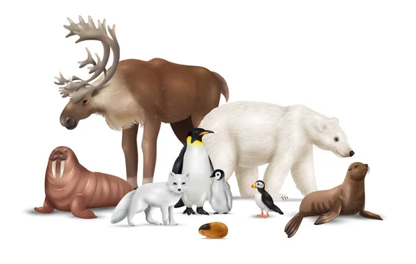 Arctic Animals Realistic Composition Reindeer Walrus Seal Polar Bear Ice — Stock Vector