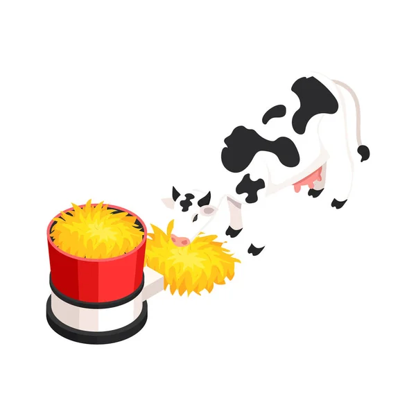 Icono Isométrico Inteligente Granja Con Vaca Comer Heno Estación Alimentación — Archivo Imágenes Vectoriales