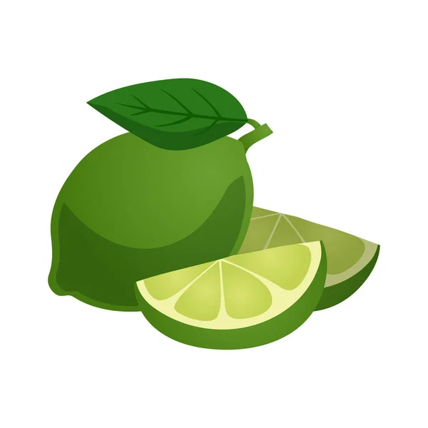 Cut Whole Green Lime Leaves Flat Vector Illustration — Stock Vector
