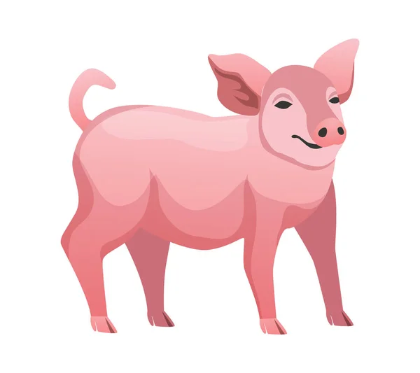 フラットかわいいピンクの豚の品種ベクトルイラスト — ストックベクタ