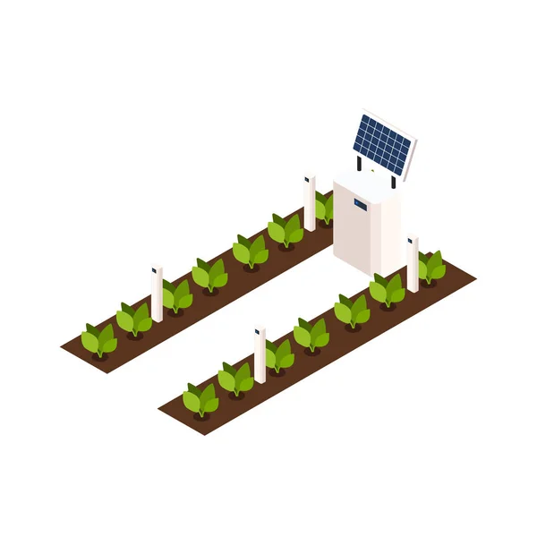 太陽光パネルを搭載した緑の植物とスマートファーム温室ベッド3D等角アイコンベクトルイラスト — ストックベクタ