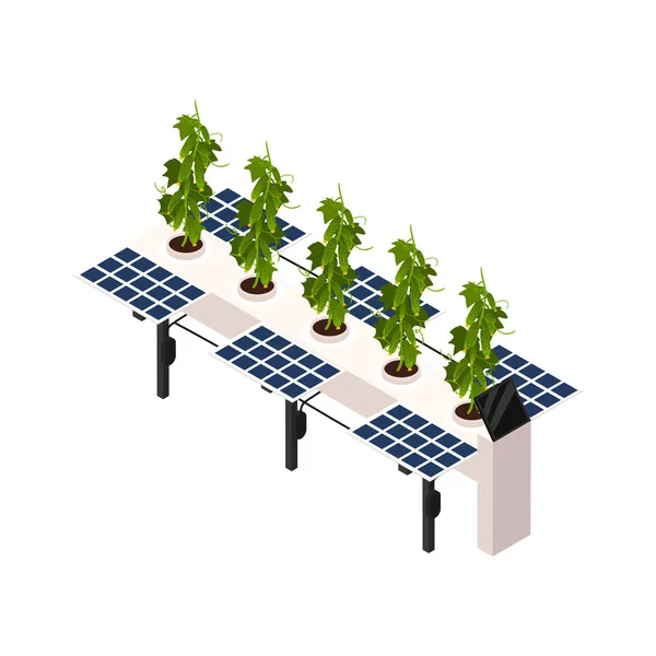 ソーラーパネル等のアイコンベクトルイラストを搭載したベッドの上で成長キュウリとスマートファーム温室技術 — ストックベクタ