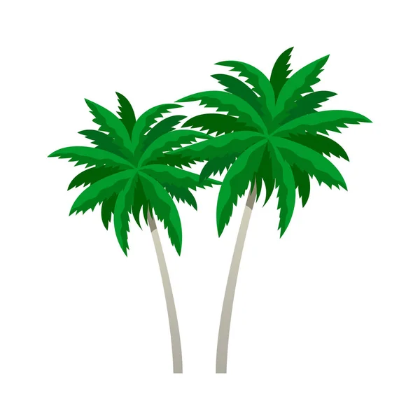 Dva Ploché Zelené Palmy Proti Bílému Pozadí Vektorové Ilustrace — Stockový vektor
