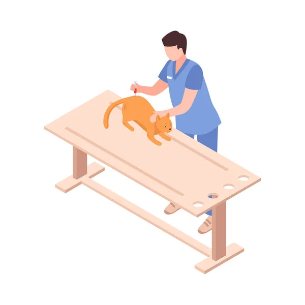 Pet Care Isometric Icon Vet Giving Injection Cat Vector Illustration — Stock Vector