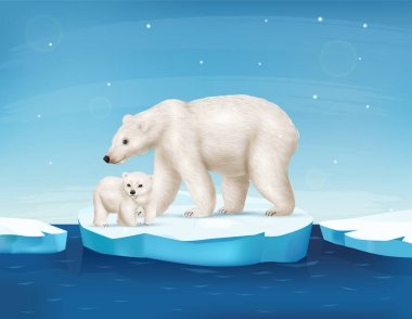 Realistic polar bear with cute cub on ice floe vector illustration clipart