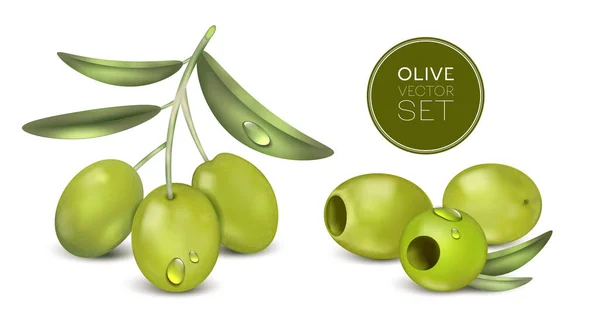 緑の果実と現実的なオリーブセットは 編集可能なテキストサークルベクトルイラストと水滴や影と葉 — ストックベクタ